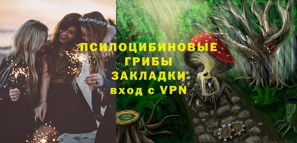 шишки Абдулино