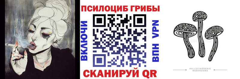 Галлюциногенные грибы Psilocybe  Чухлома 