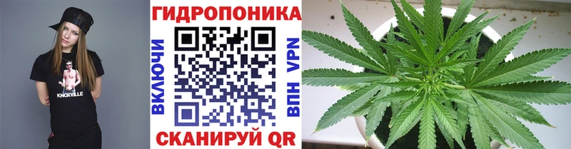 купить наркоту  Чухлома  Каннабис Amnesia 